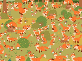 Optical illusion brain teaser: You might be a record breaker if you spot the 'blue-eyed fox' among the browns in this jungle