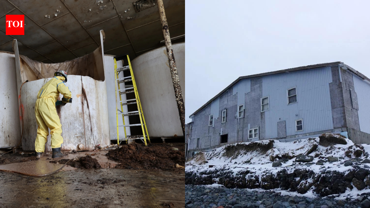More than 330,000 gallons of rotting fish sauce in a Canadian town are finally being removed after 20 years of unbearable stench