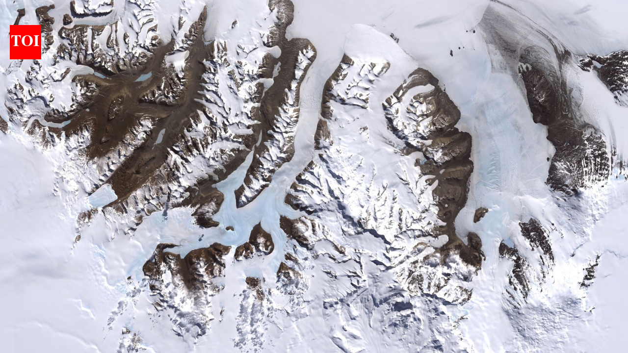 Antarctica is hiding a desert so dry it has changed little for millions of years: NASA says its landscape resembles Mars