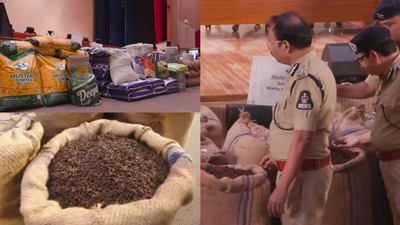 Spices coated in cloth dye, talcum powder? Hyderabad raids expose shocking food adulteration