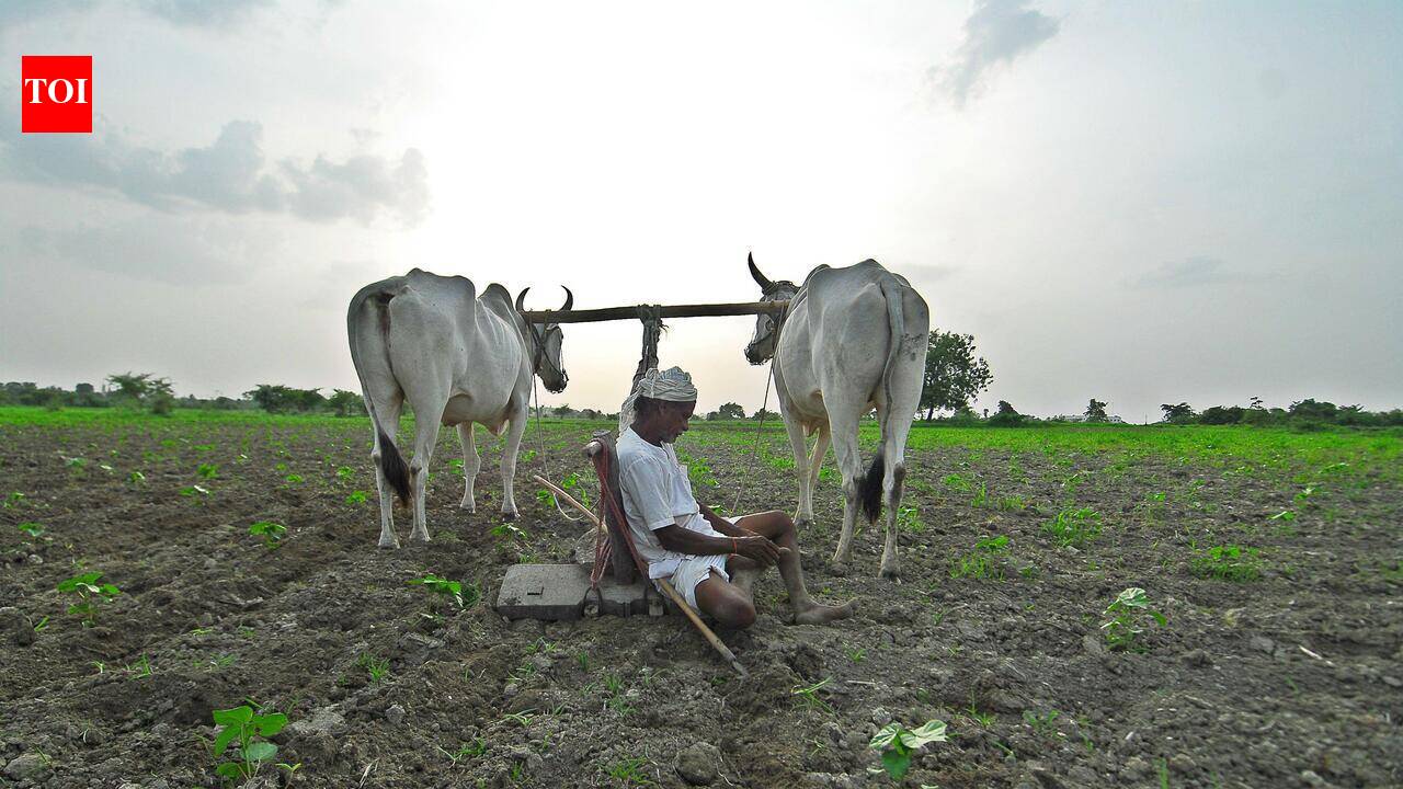 Banks in India wrote off Rs 3.2L cr corporate loans, 3 times more than Rs 1.2L cr in farm loans: Minister in Rajya Sabha