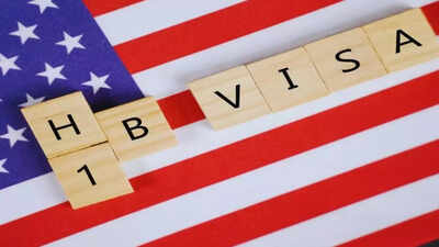 Only 4 companies? Critics say barring small companies from hiring H-1B for 1-2 years is not enough