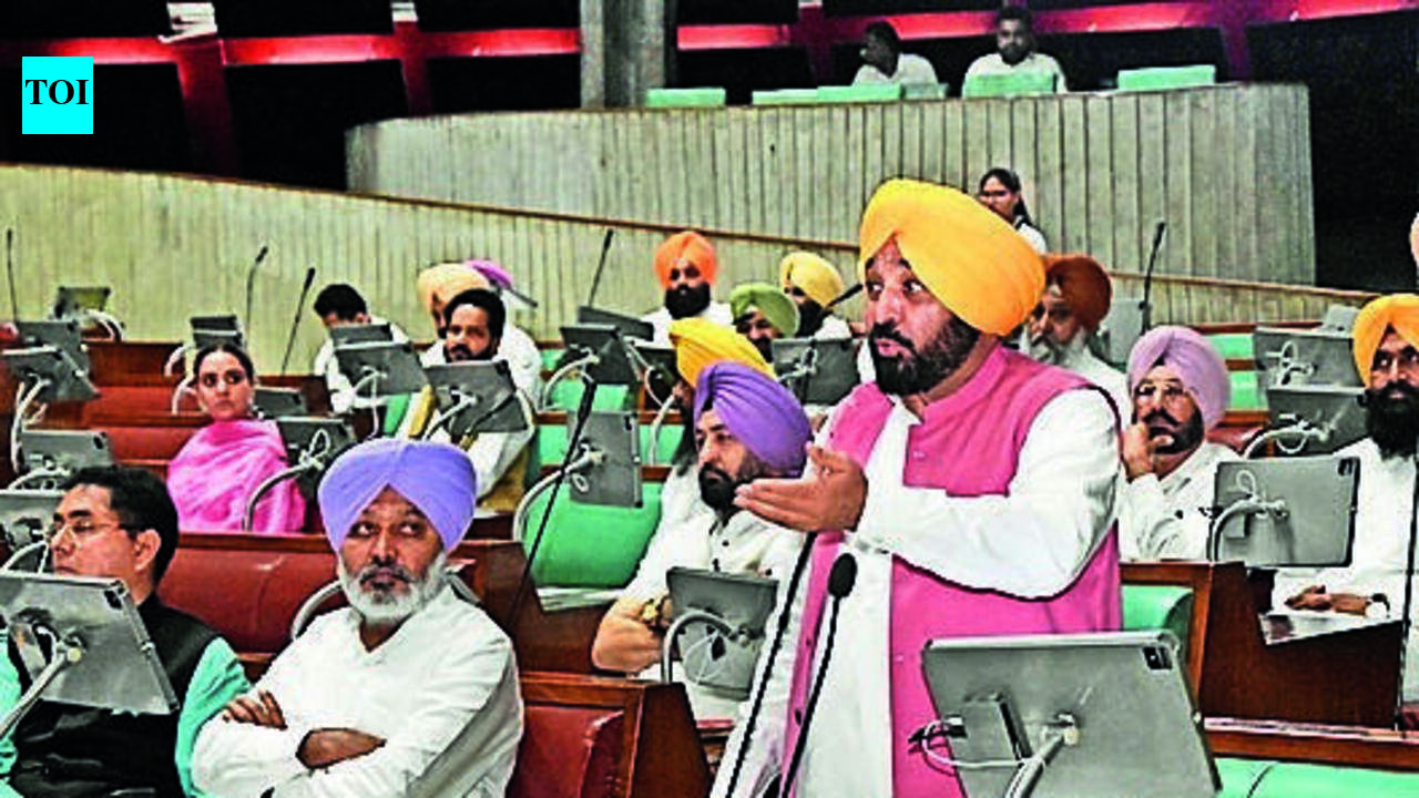 ‘Linked to US pressure': Mann asks why E20 rollout was advanced from 2030 target