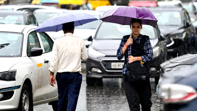 Delhi gets rain relief, Ayanagar logs 49.3mm; IMD issues yellow alert for Wednesday