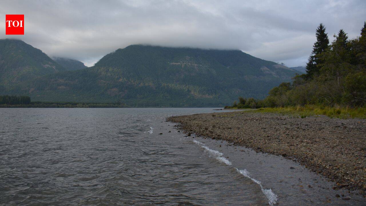 B.C. restores 70 hectares as Cowichan marsh faces 60% loss by 2100