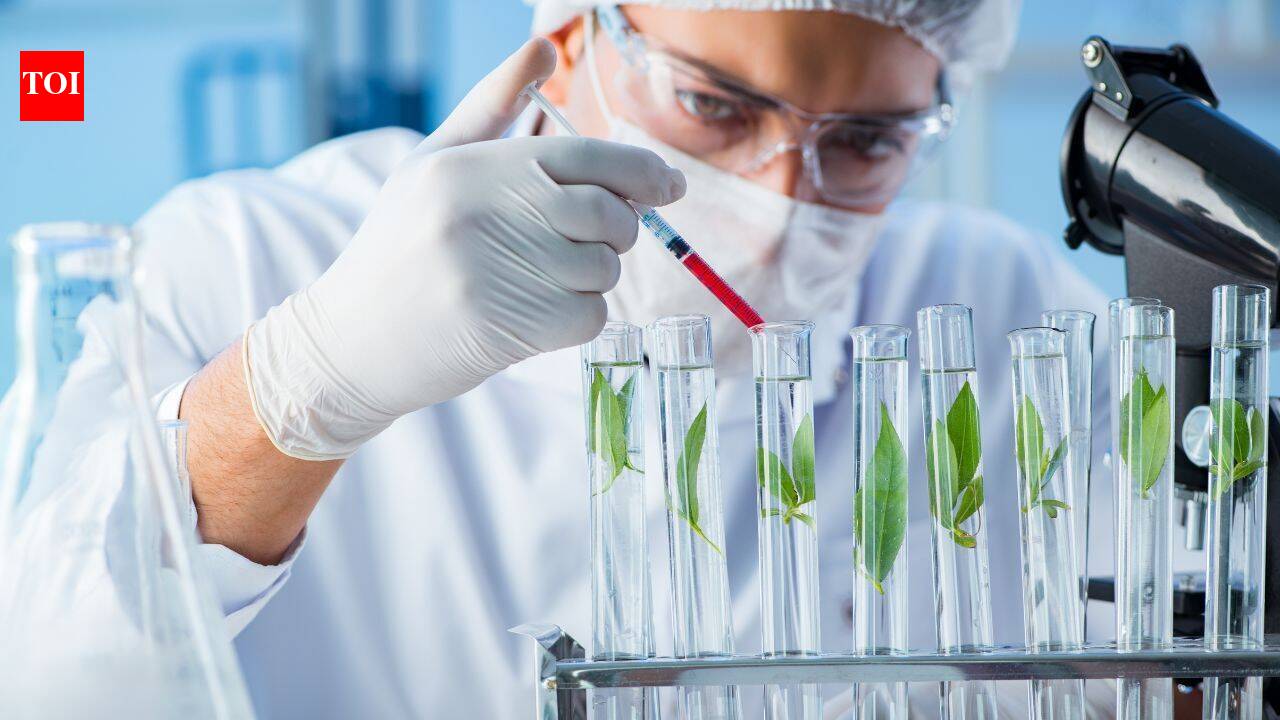 Toxic plants yield enzymes that could power future medicines