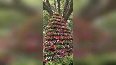 War jumbos, ancient architecture to light up Lalbagh flower show in Bengaluru