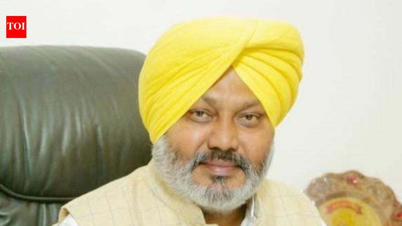 Punjab weighing SC appeal on DA arrears verdict, says Cheema