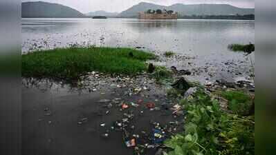 Dead fish, foul smell greet tourists at Jaipur’s Jal Mahal