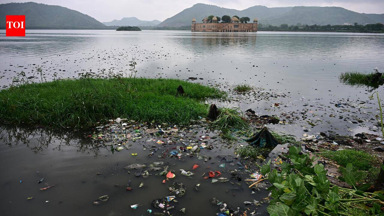Dead fish, foul smell greet tourists at Jaipur’s Jal Mahal