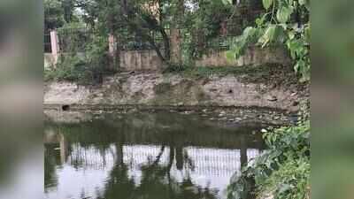 Hyacinth, liquor bottles plague Semmancheri ponds