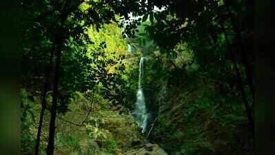 CM urges safety precautions amid rise in waterfall drownings