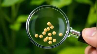 Mahabeej launches probe into soybean seed germination complaints, admits some cases genuine
