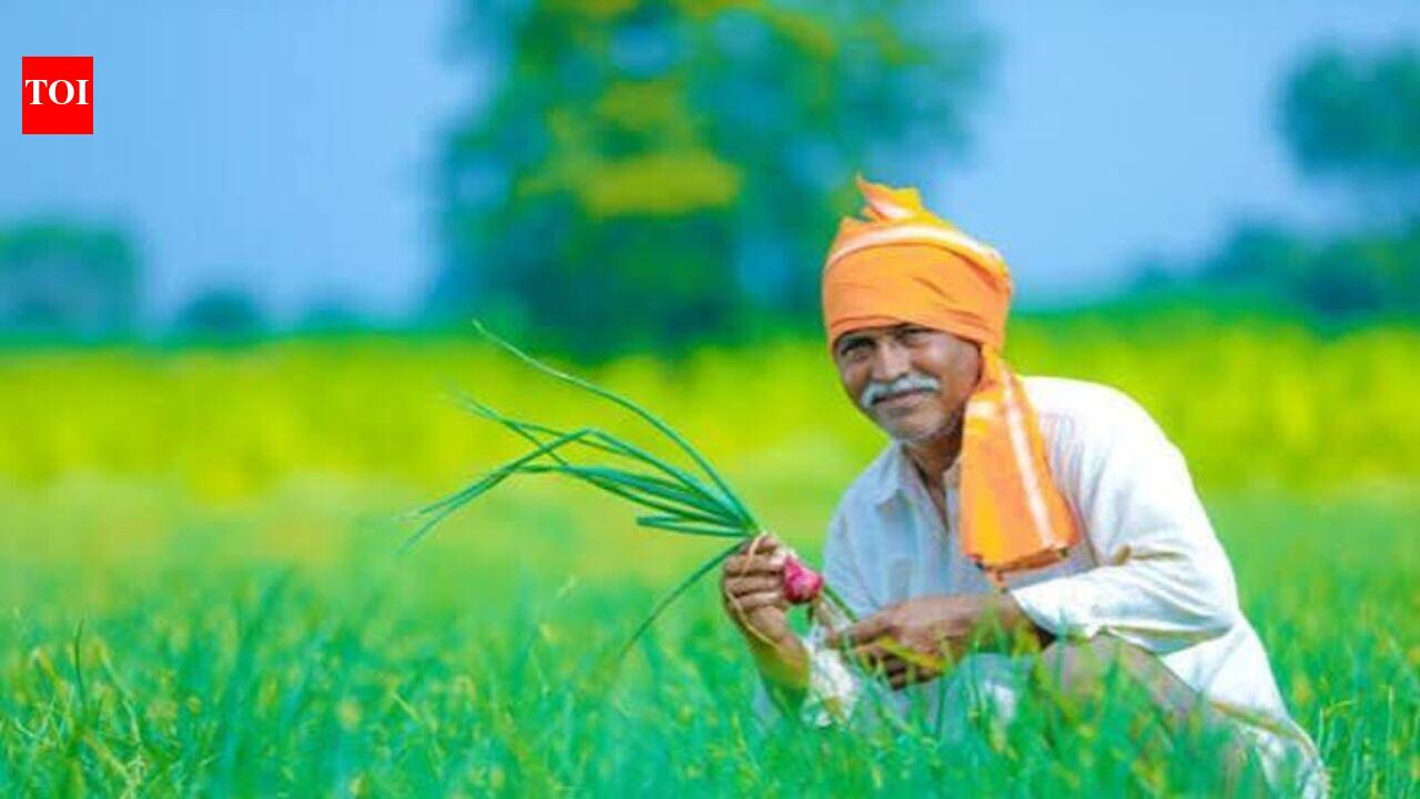 Cabinet approves crop insurance scheme across all districts