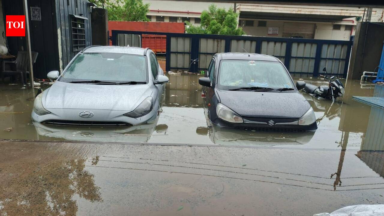 Two weeks since Gujarat deluge, Changodar units wade through losses