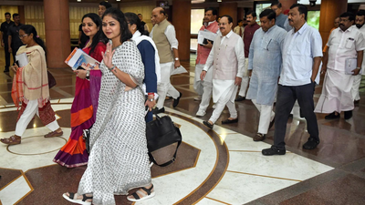 MPs feel left out of foundation stone laying, parliamentary panel steps in