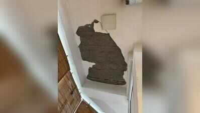 Balcony ceiling collapses in condo, buyers allege negligence by builder, demand probe