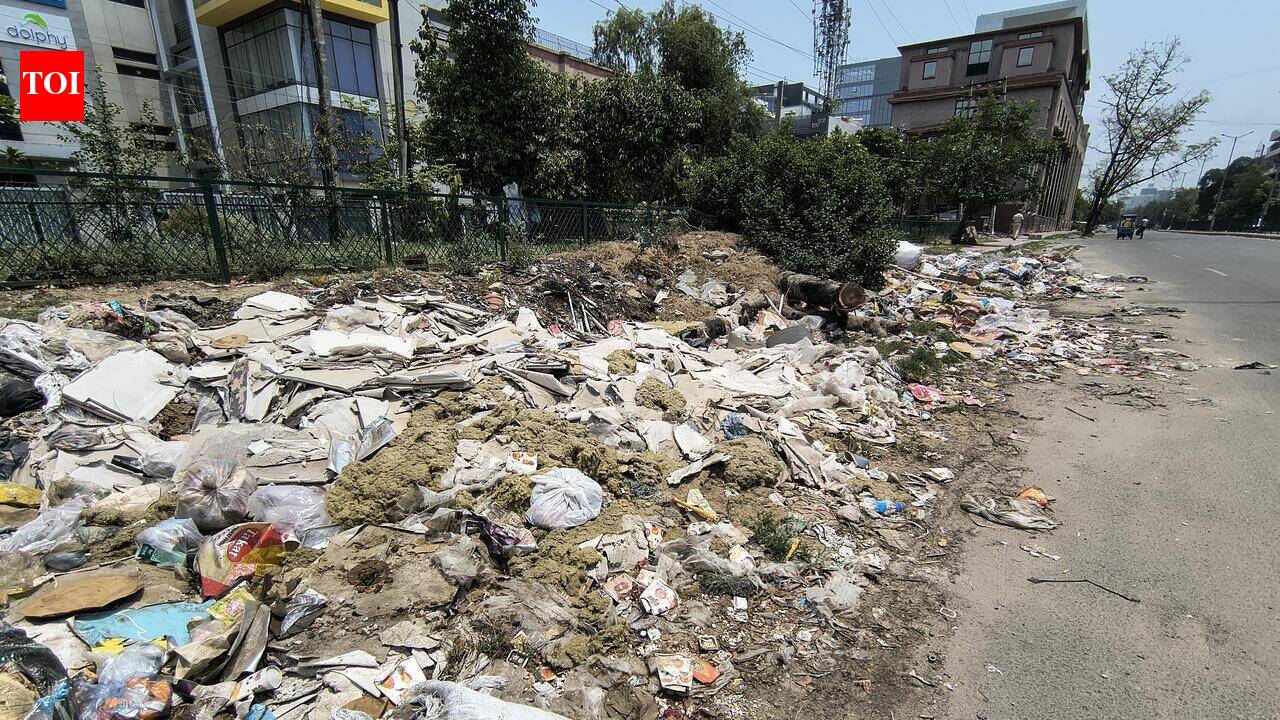 Plastic violations make up 63% of challans issued by Gurgaon civic body this year