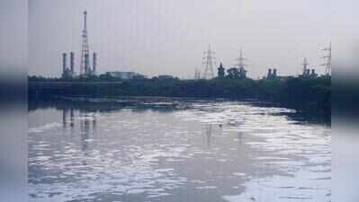 NGT seeks CPCB, NMCG replies on Haryana plan to use green funds for Yamuna micro STPs