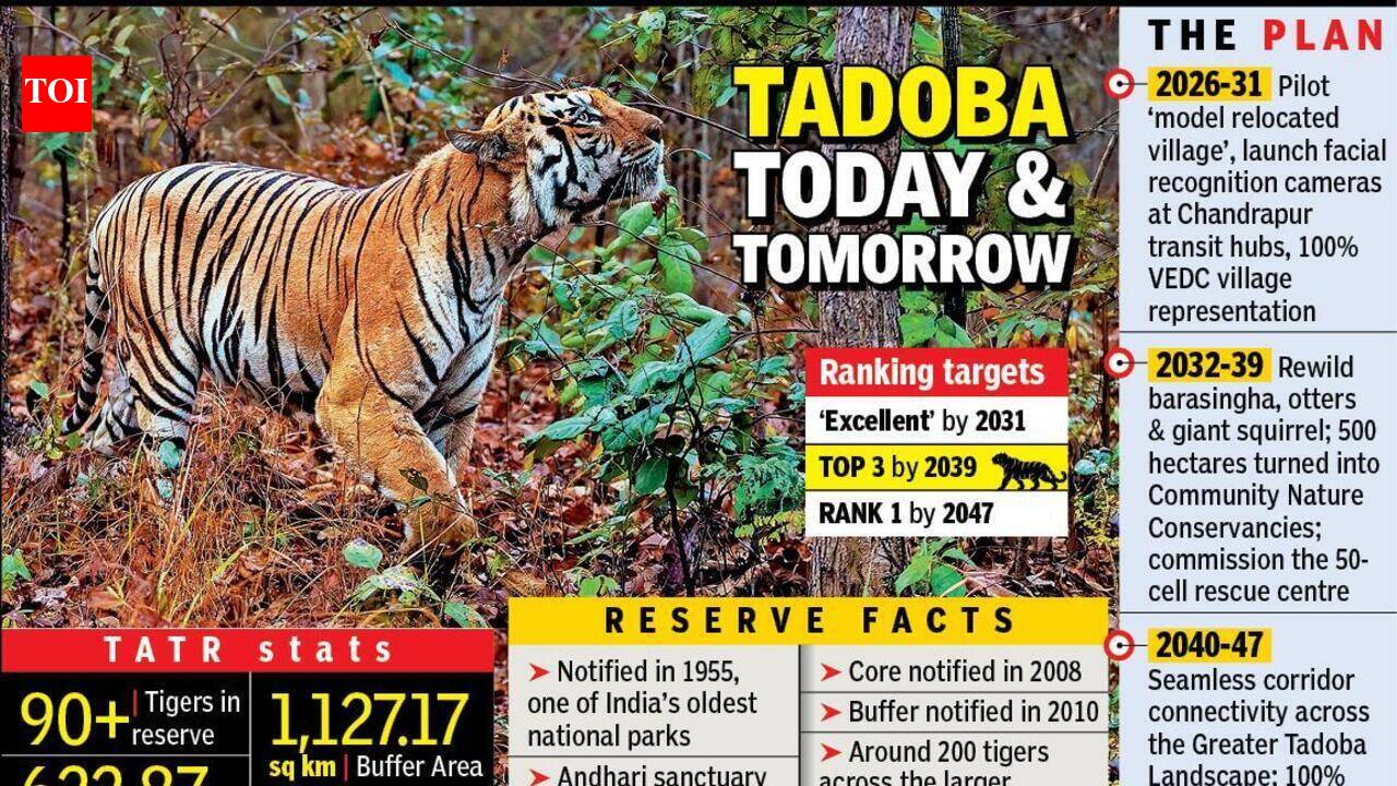 Tadoba Vision 2047: Eyes 1K crore revenue from carbon credits and AI driven control roon