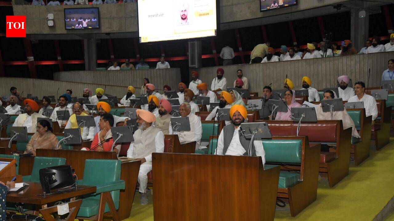 Punjab assembly passes resolution asking Centre to suspend mandatory E20 petrol rollout