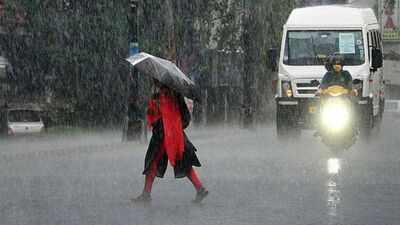 Kerala rain fury: More relief camps open, 10 districts shut schools