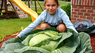 Meet Katie Stagliano, who grew a 40-pound cabbage as a 9-year-old in 2008; it fed 275 people and inspired more than 100 youth-run gardens