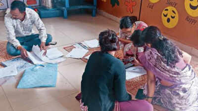Voter data upload slow, BLOs for accuracy over rushed jobs