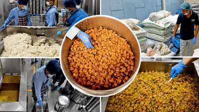 Food for thought: Is Delhi's midday meal nutritious enough?