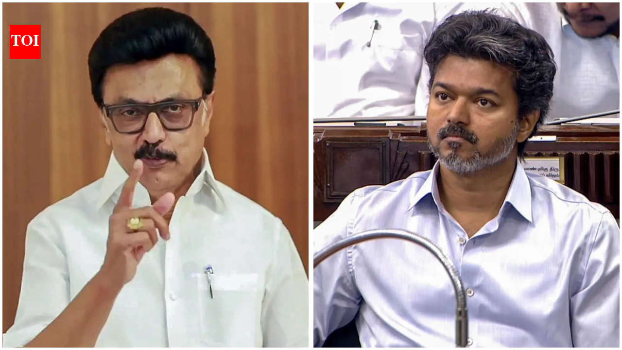 'Remake of Dravidian model': Ex-Tamil Nadu CM MK Stalin calls Vijay government's budget a 'waste'