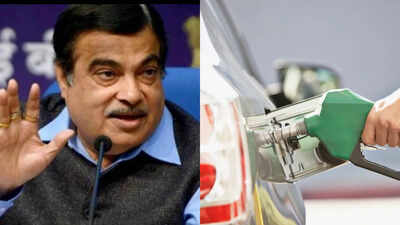 'Consumers paying more': Congress alleges E20 has tilted benefits towards ethanol producers