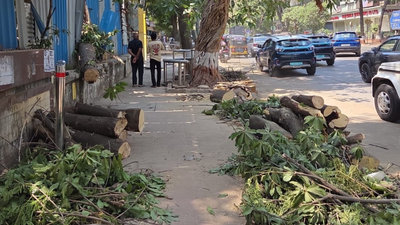 Mumbai’s Khar tree fall: Survivor discharged after 82 days, physiotherapy next