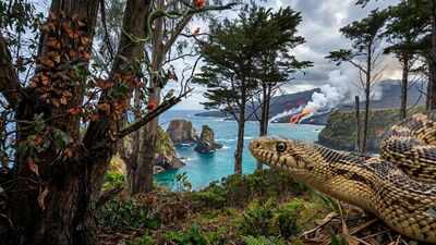 Hawaii has remained snake-free for millions of years, and the reason lies in how the islands were born