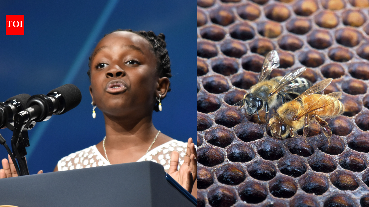 Meet Mikaila Ulmer, who turned a childhood fear of bees into a lemonade business...
