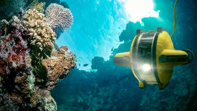 Between 2014 and 2017, underwater robots found surface chlorophyll 1,000 metres deep; scientists have now explained how it arrived