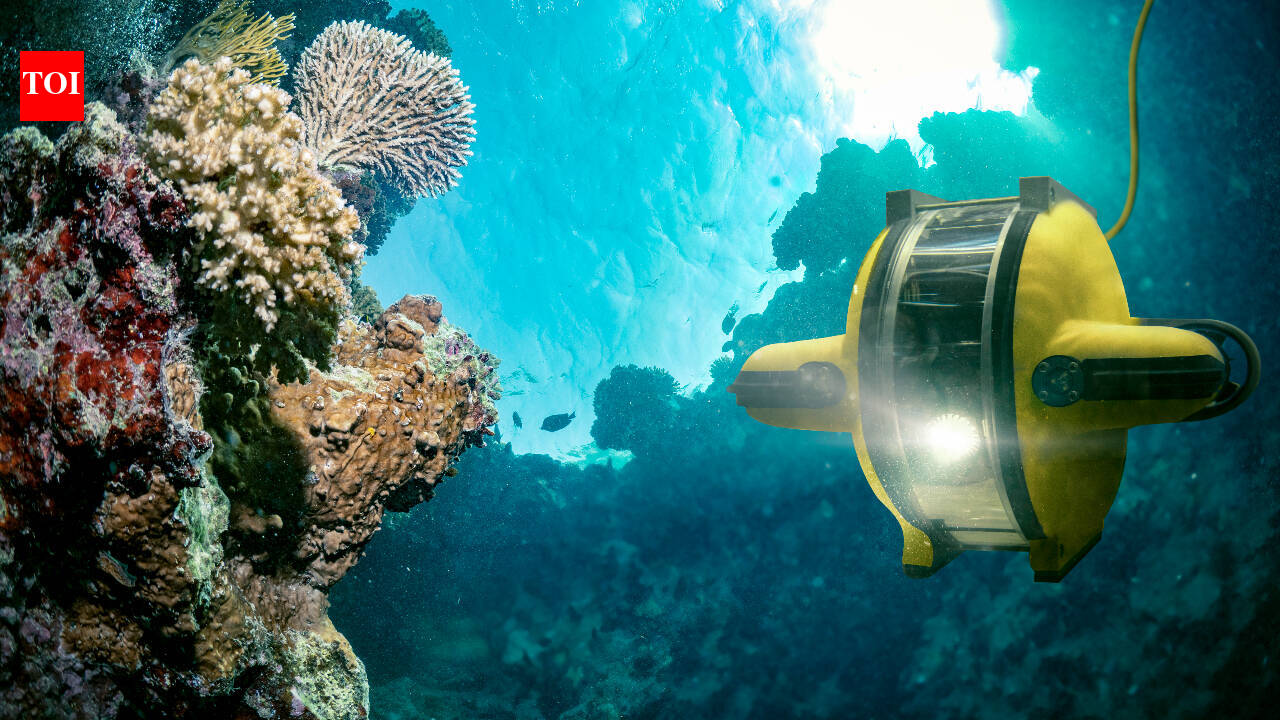 Secret winter ocean conveyor: Study tracks chlorophyll plunges to 1,000m; deep sea stores carbon