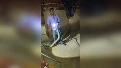 Cobra-python fight triggers panic in village near VTR