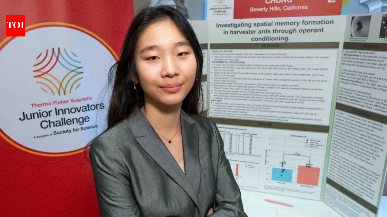 Meet Seungah Chung, the US eighth-grader who used 200 ants to discover landmark navigation