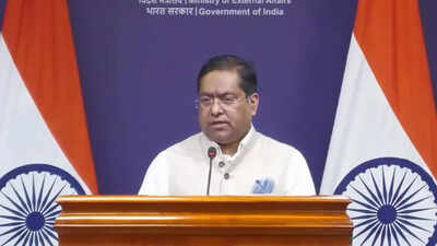 'Orchestrated spectacles': India rejects Pakistan's 'Youm-e-Istehsal' on revocation of Article 370