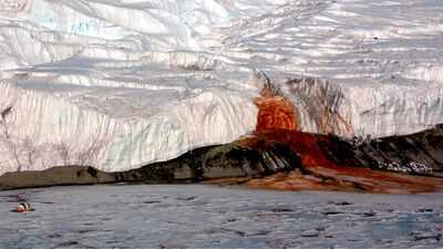 <b>Scientists finally solve the mystery behind Antarctica's Blood Falls: 2.5-million-year-old life beneath the glacier surprises researchers </b>