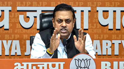 'Don't use students for politics': BJP attacks Rahul Gandhi over Jantar Mantar protest claims