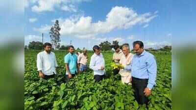 Belagavi hits 95% sowing target despite 4% rain deficit