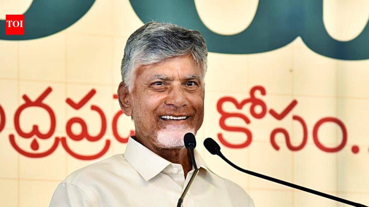 Naidu seeks micro plans for Rs 9.5 lakh crore Visakha Economic Region