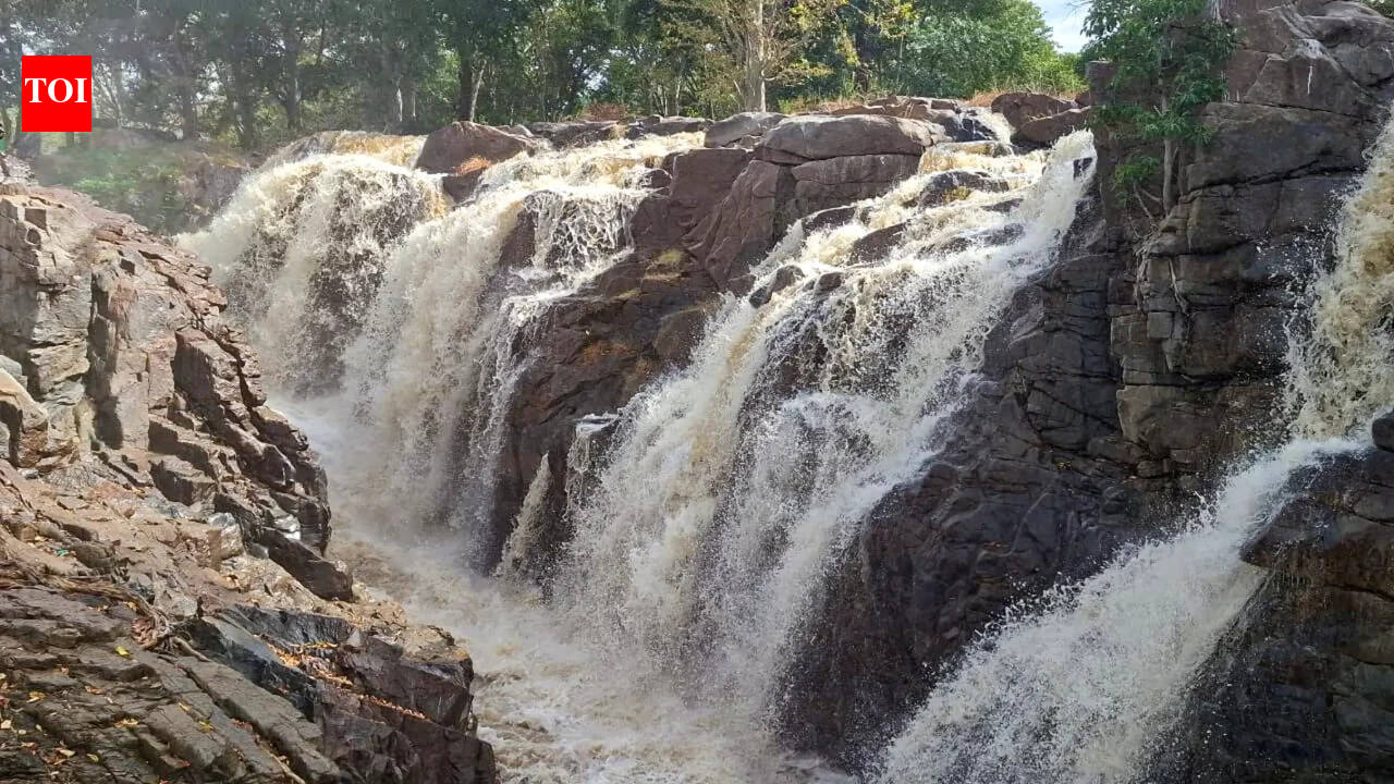 Tamil Nadu government vows to secure rightful share in inter-state river water
