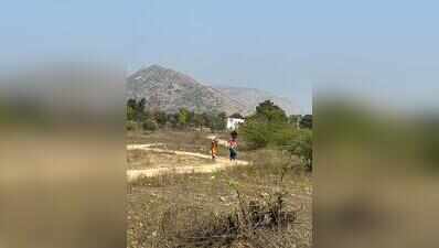 Listen to Aravali communities, local group urges SC committee