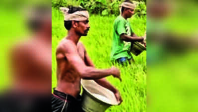 Gujarat government appoints special officers to curb black marketing of fertilisers
