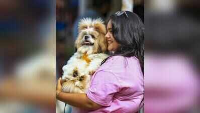 All bark, no bite: Ahmedabad civic body struggles to enforce pet registry