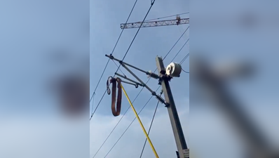 Aqua Line service hit for 30mins as lifting sling entangles with overhead equipment, realtor issued notice