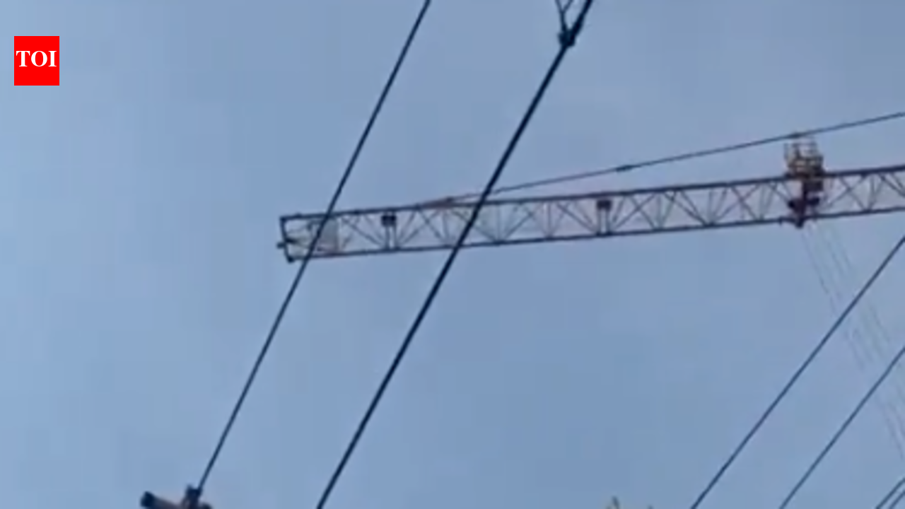Aqua Line service hit for 30mins as lifting sling entangles with overhead equipment, realtor issued notice