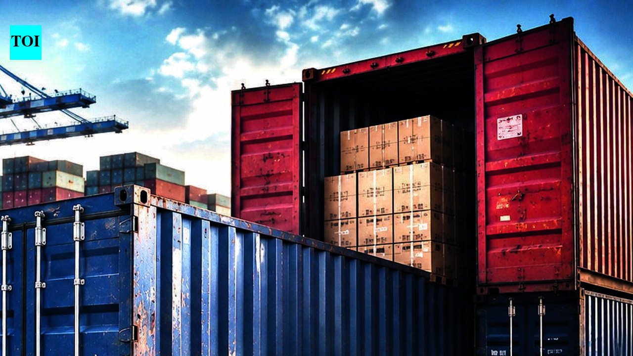 DRI seizes 13 containers of illegally imported Pak dates at Kandla port